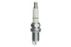 CHAMPION OE089/T10 Spark Plug